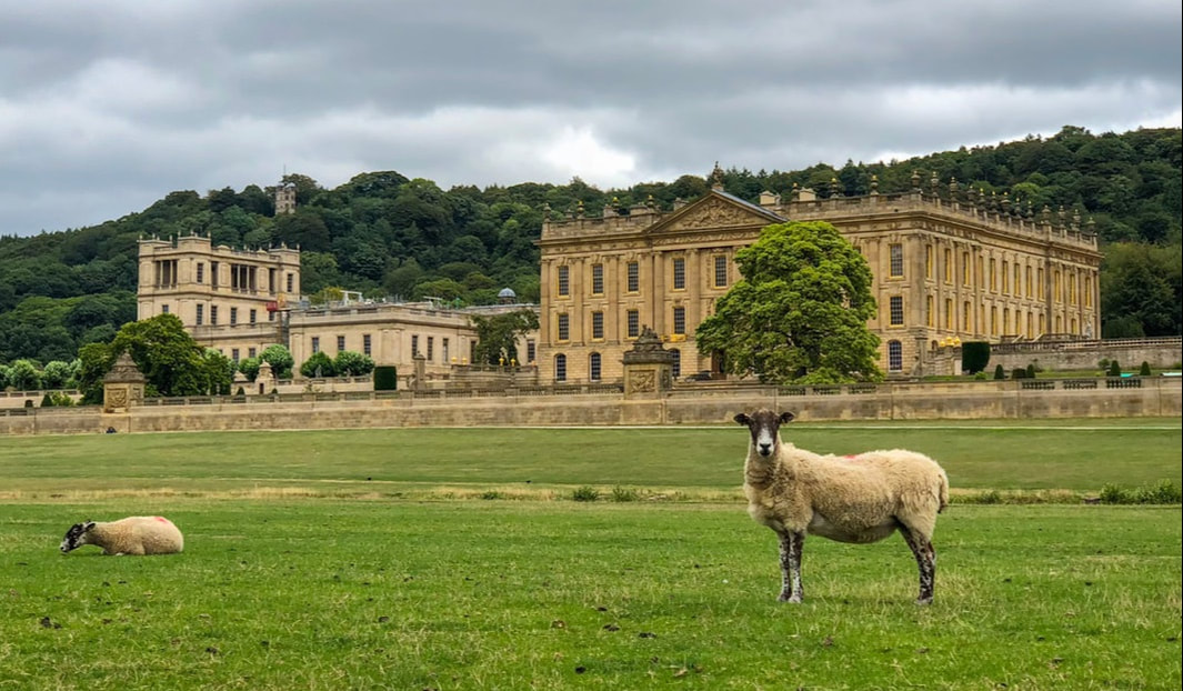 Sheep grazing in front of Chatsworth House