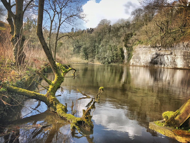Trees and limestone crags on the River Wye near Monsal Dale