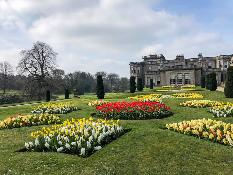 Blooming spring flowers at Lyme Hall